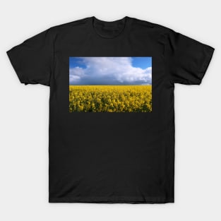 Rapeseed field T-Shirt